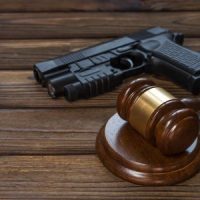 GunLaw GunLaw